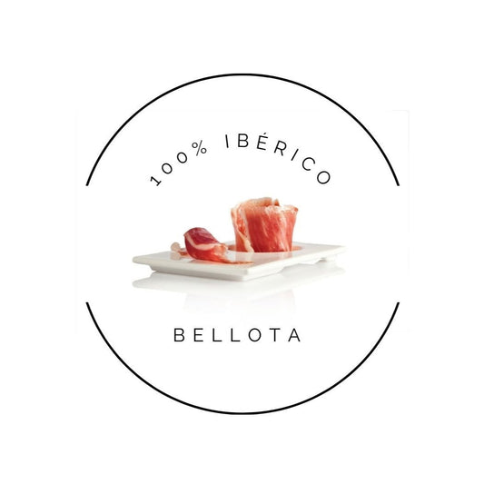 Paleta 100% Ibérica de Bellota (100gr)